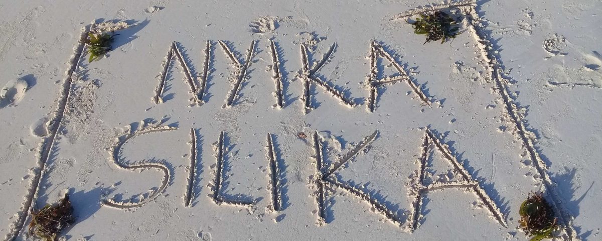 Nyika silika on the beach