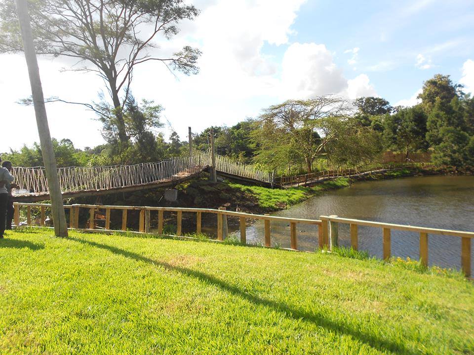 Stedmak Gardens