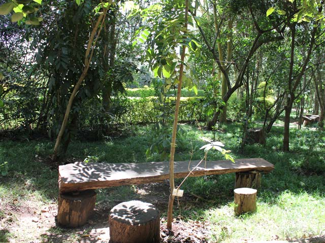 Langata Botanical Gardens