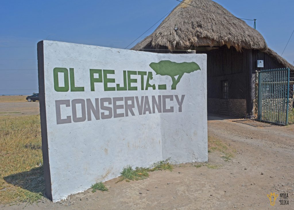 Ol Pejeta Takeover - Nyika Silika