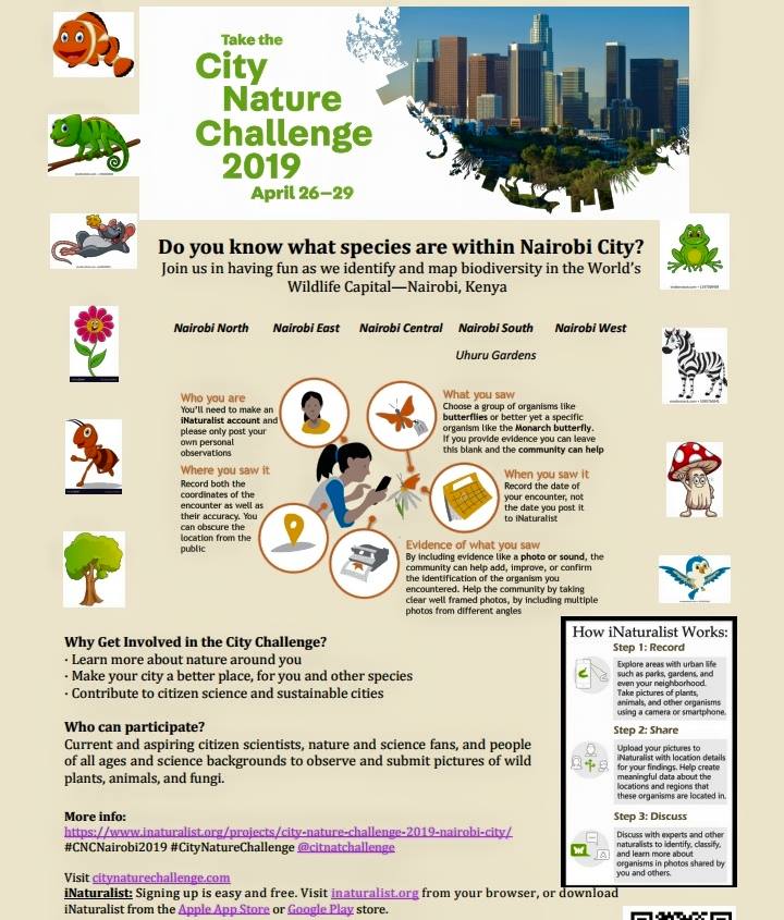 City Nature challenge