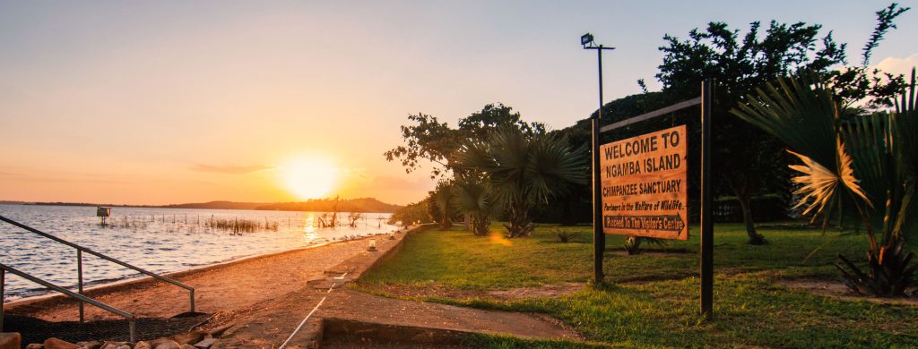 Ngamba Island
