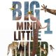 Big Mind Little Mind