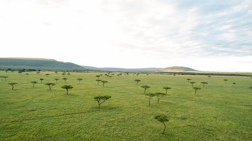 Ariel view of the Maasai Mara Landscape at Ol Choro Oiroua Conservancy