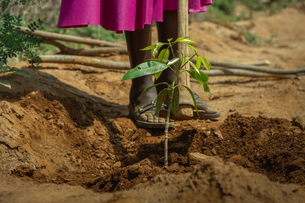 WWF_VCA_Baringo-4814