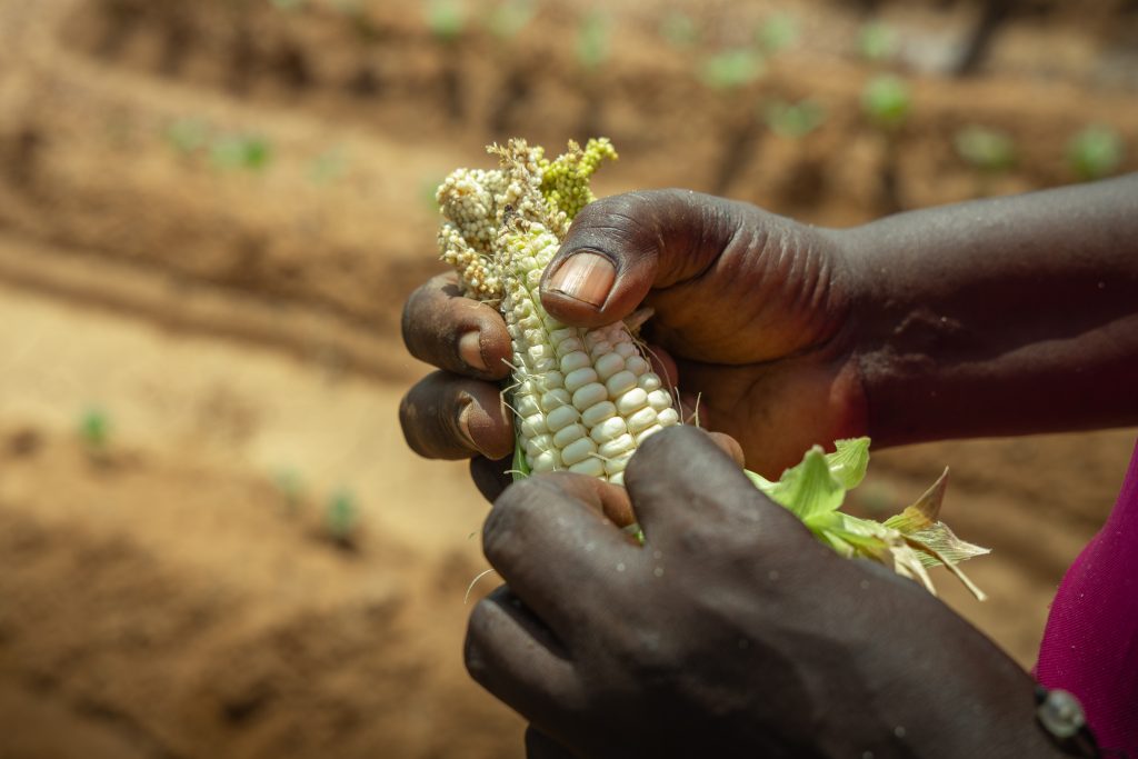 WWF_VCA_Baringo-4907