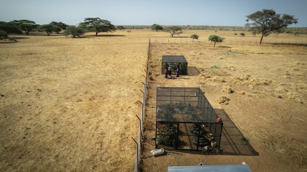 WWF_VCA_Drone-0380
